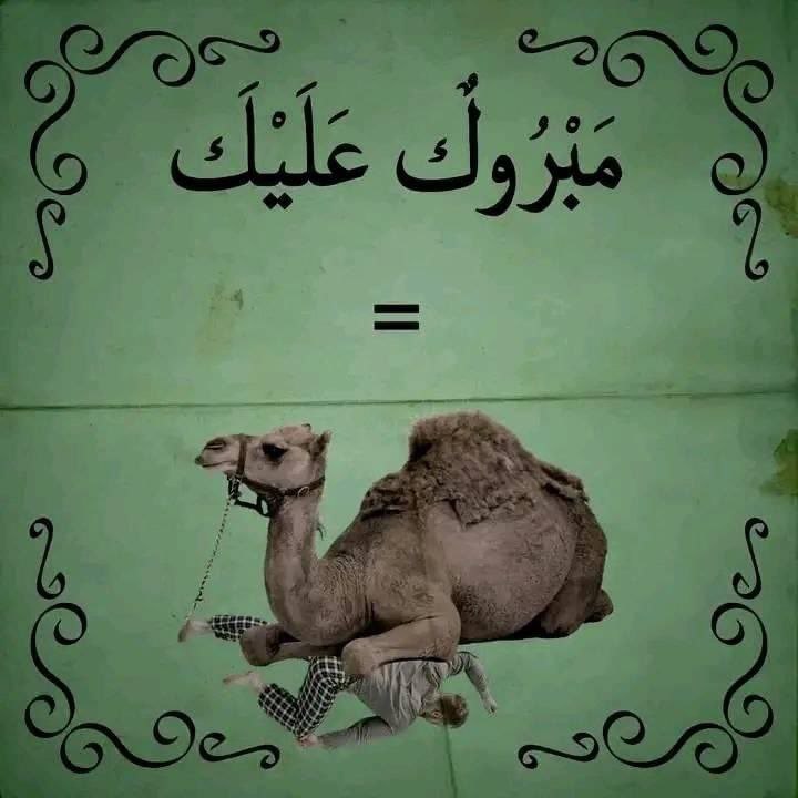 MShmsDin's tweet photo. قل مبارك ولا تقل مبروك https://t.co/Vicz6JoL71