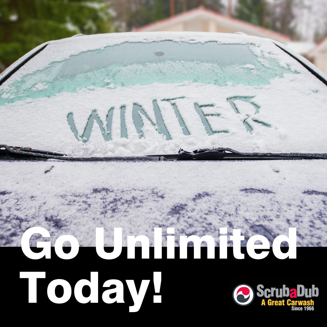 ScrubaDubCarWsh's tweet image. New England Winters are tough on your vehicle. Get Unlimited Washes for one low monthly price and ensure your vehicle stays clean and safe all winter long! #CleanCars #Unlimited #CarsOfNewEngland #Winter #CleanIsSafe #WashOften

scrubadub.com/shop-now/