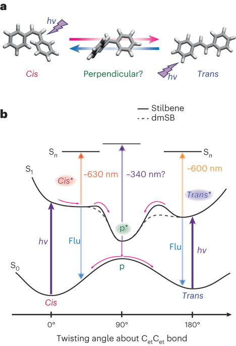 ChemistryNews's tweet photo. Perpendicular state of stilbene unveiled with ultrafast Raman spectroscopy https://t.co/42yoKrJByy https://t.co/qgljbUowdi