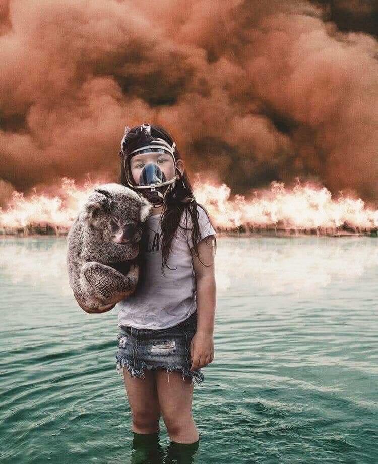 Nunca antes pessoas e animais
estiveram tão próximos. A desgraça humaniza o ser humano.

#PrayForAustralia