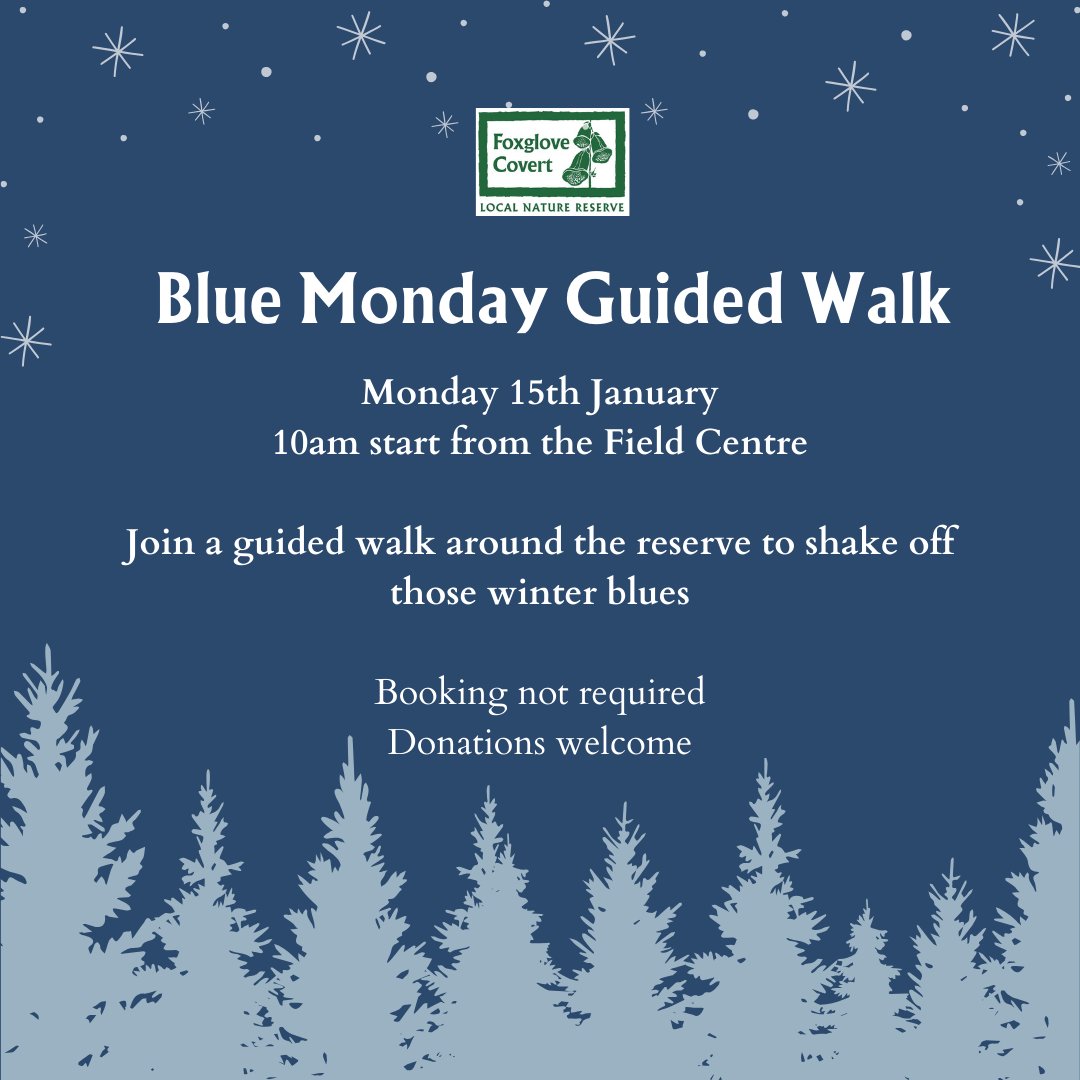 FoxgloveCovert's tweet photo. Short days and gloomy weather getting you down? Come along to a relaxed and uplifting guided walk to discover Foxglove Covert Local Nature Reserve in midwinter. https://t.co/uHqe5MXjv8