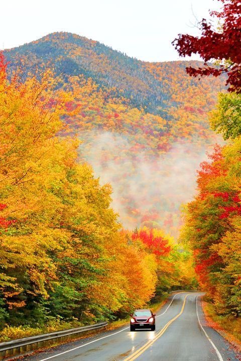 Beautiful Road 

(📷Pinterest)
