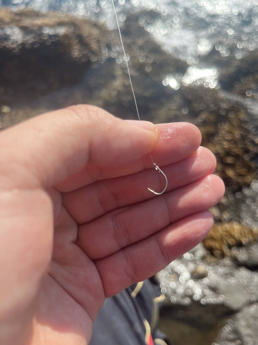 fishingN_23's tweet photo. あけましておめでとうございます。ことよろです。
去年は全然釣り行けんかったので今年は頑張ろうと思います。
初釣り、本命釣れんかったけど細ハリス練習なりやした。
あと3年は沖縄帰れそうにありません🥺

竿1.5
道糸2号
ハリス2号
ハリ4号 https://t.co/UlMiQeoe7i
