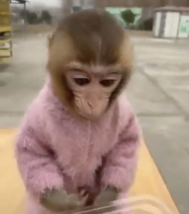 spiderocket's tweet image. bom dia pessoal, tive uma péssima noite de sono pq minha cabeça não queria ficar quieta