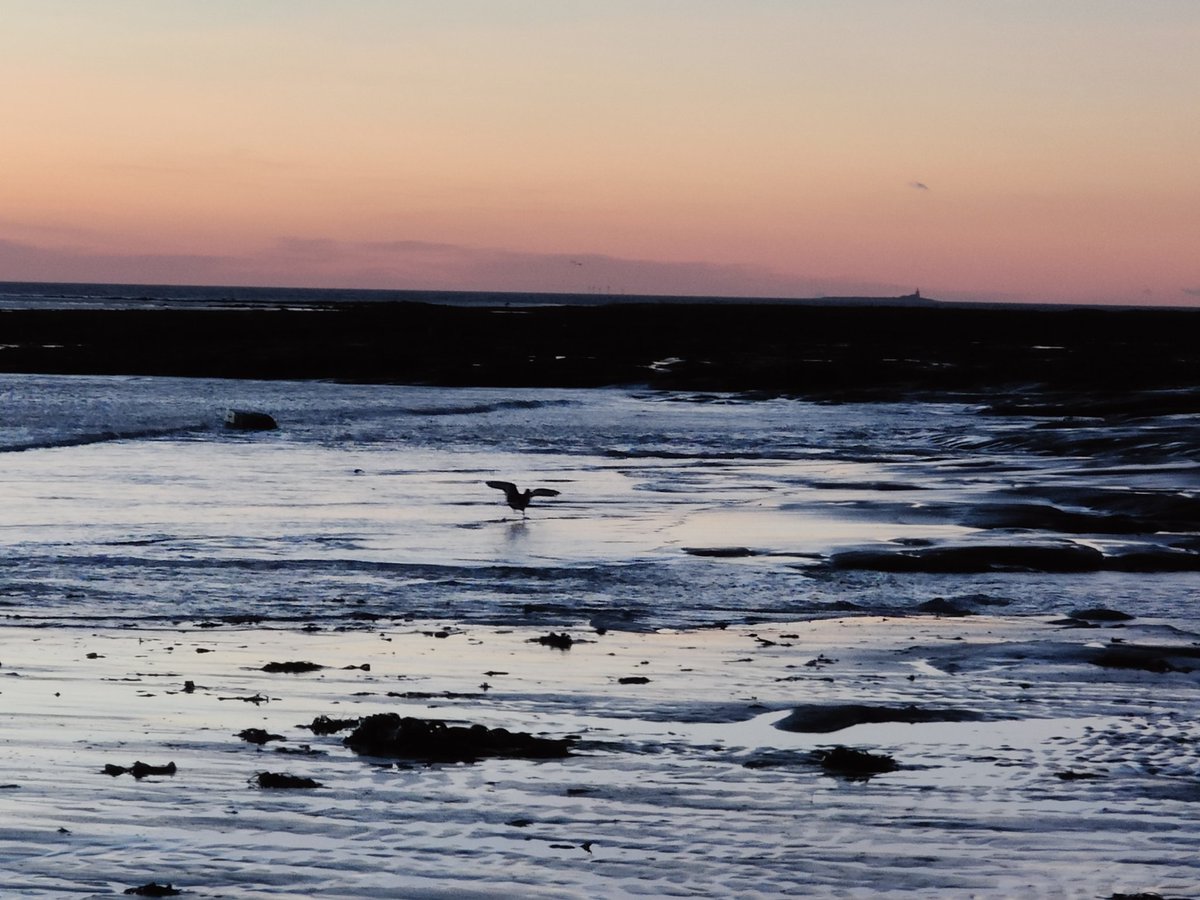 MartD08's tweet photo. @rawlimark Boulmer, Northumberland https://t.co/juvfQzkofa