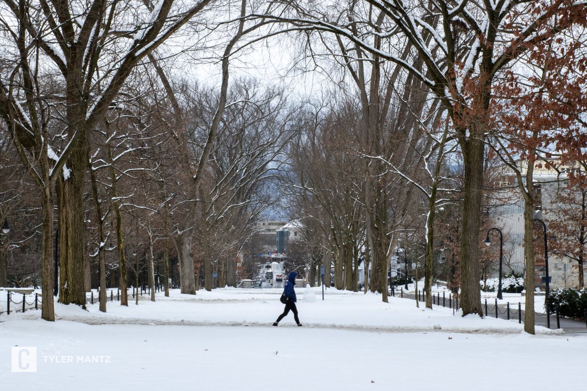 DailyCollegian's tweet photo. Welcome back to campus, Penn State ❄️ https://t.co/owvaoj7UUR