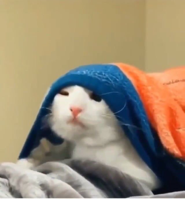 สวัสดีคับป้อแม่พี่น้อง พบกับรายการ ลีจ๋องจัง คนที่ไข้ขึ้นทั้งวันคนนั้นคือลีเองครับ 😓😓