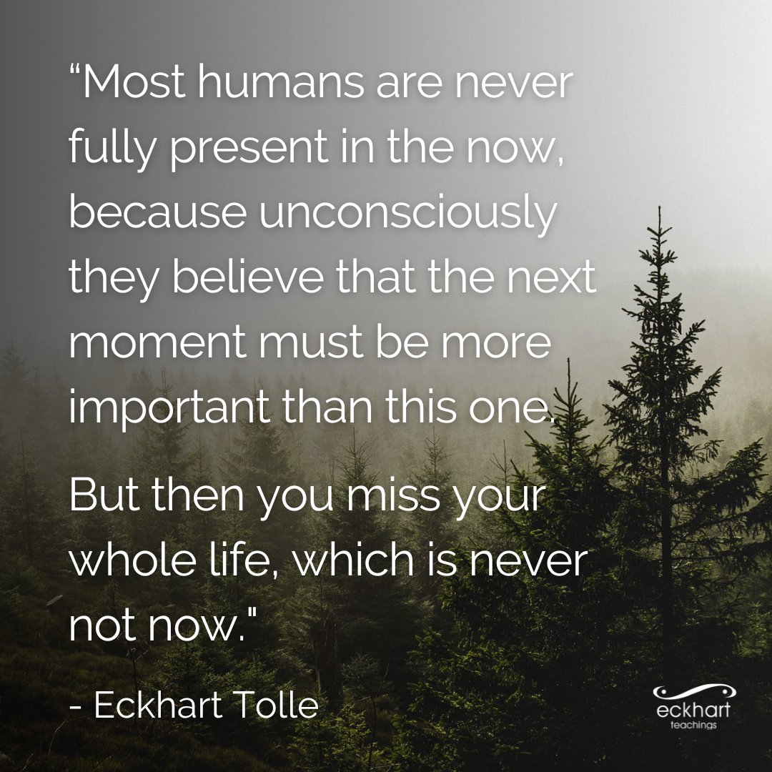 “Most humans are never fully present in the now, because unconsciously they believe that the next moment must be more important than this one. But then you miss your whole life, which is never not now.” - Eckhart Tolle