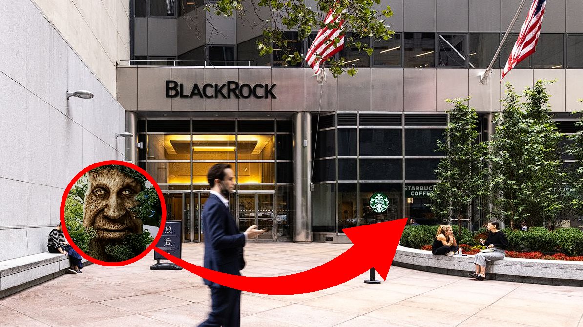 TreeTokenMemes's tweet image. BREAKING: $TREE token CEO @Tree_of_Alpha was just spotted outside of the BlackRock offices according to multiple sources close to the building.