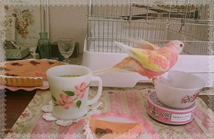 Buenos días a todos✨
Ya estoy aquí desayunando en buena compañía😊✨✨