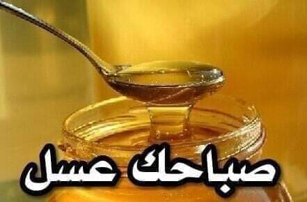 MODE29966571's tweet photo. @nour_17401 https://t.co/HPj98kCUrv