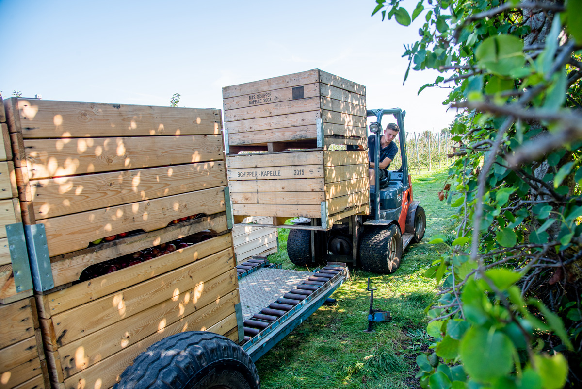 Max Platvoet tweet media