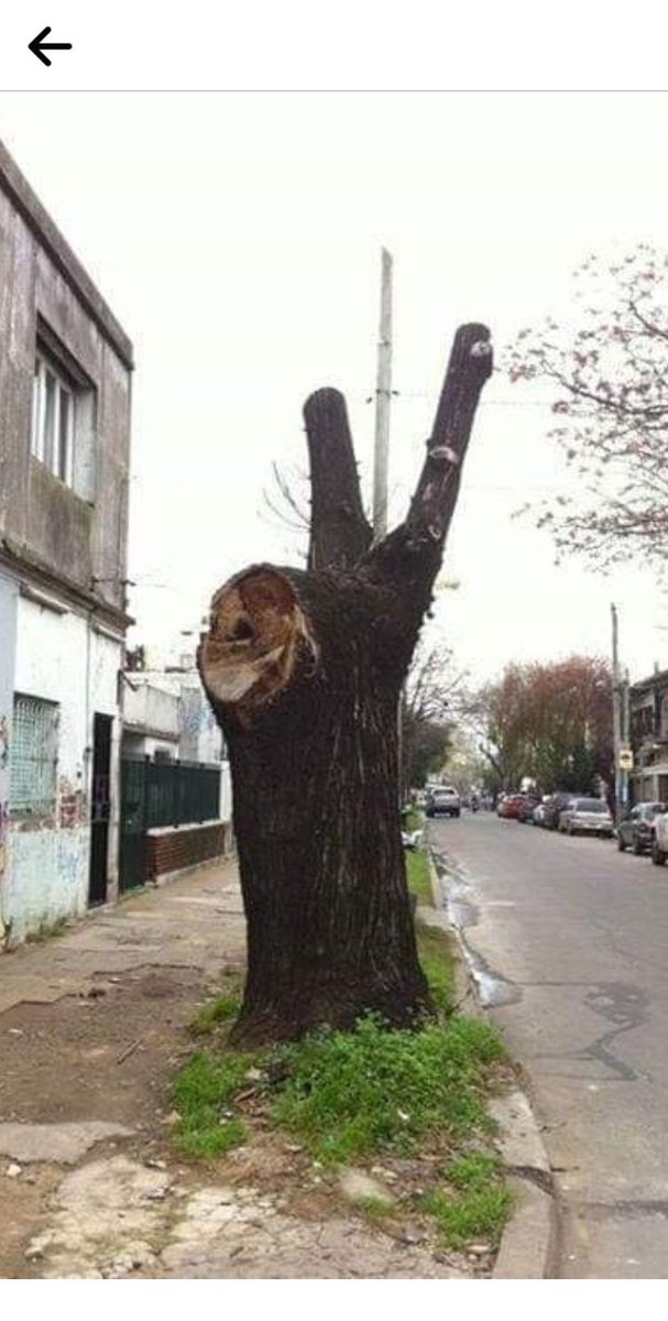 Viva Perón, Evita, Néstor y Cristina