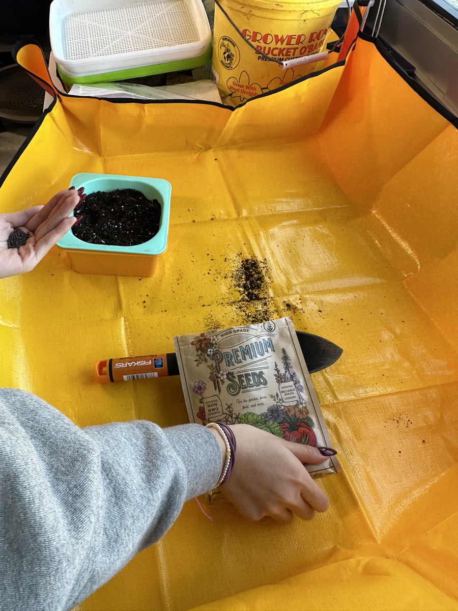 Mrs_Sforza's tweet photo. 🌱 Agriculture students in action! Groups designed their own experiments to determine the most effective microgreen growing techniques. 🌿 Looking forward to a tasty harvest (and some possible future sales) 😋 #AgricultureEducation @klibertini2 @DaveCohenJHS https://t.co/erQzmu7xiZ