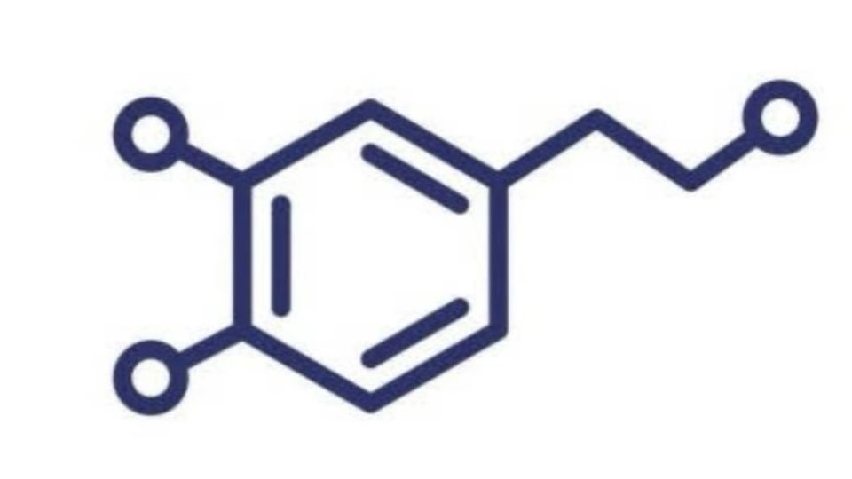 dougboneparth's tweet image. Congratulations! You’ve scrolled so far you found the dopamine.