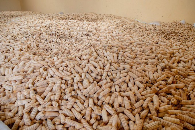 Jean Claude NIYOMUGABO tweet media