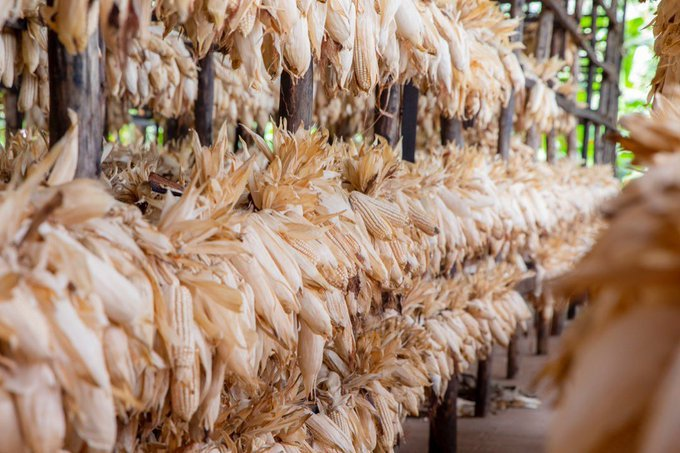 Jean Claude NIYOMUGABO tweet media