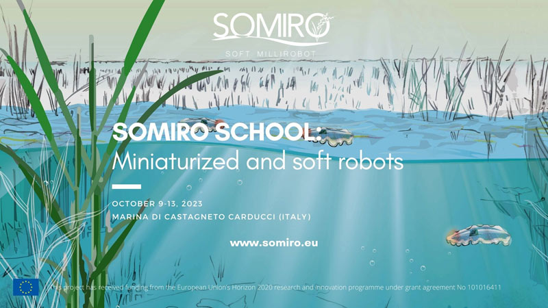 📸 Explore the Moments of Brilliance at SOMIRO School! 🌟
Dive into the captivating gallery of SOMIRO School, where innovation and knowledge converged in the scenic beauty of Marina di Castagneto Carducci. 🏖️🤖
👉 bit.ly/3nPlg0d 
#SOMIROSchool