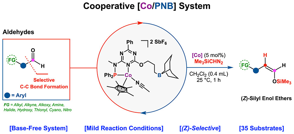 📈 Read one of our recent most read #OpenAccess articles, 'A Cooperative Cobalt-Driven System for One-Carbon Extension in the Synthesis of (Z)-Silyl Enol Ethers from Aldehydes: Unlocking Regio- and Stereoselectivity'. Check it out here ➡️ go.acs.org/7BK