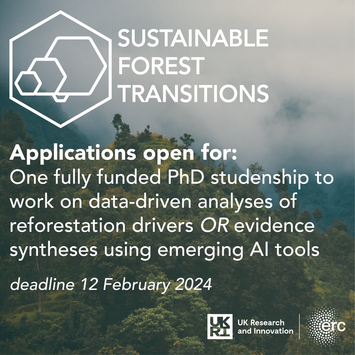 📢What if we could find ways to restore our #forests and improve the wellbeing of local communities? Sounds interesting? Then, why not apply for a fully funded #PhD to study #SustainableForestTransitions. Open to international students. For more info tinyurl.com/yxsafn79