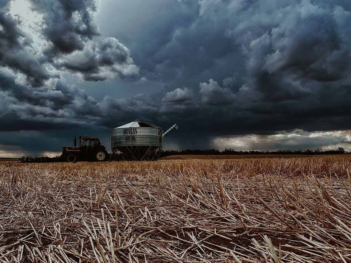 The winners of the 2023 #CAAHARVEST competition 
🥇<a href="/ipaddockapps/">iMc Fels 🐑🌾</a> 
🥈<a href="/KendallFarming/">Kendall Farming</a> 
🥉<a href="/JoshPea32528535/">Josh Pearce</a>
