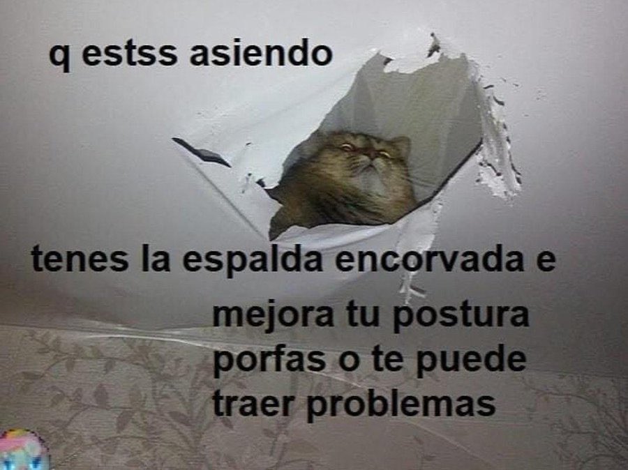 Snvfyy's tweet photo. Buenos días 😃 https://t.co/e8Etb7XUGU