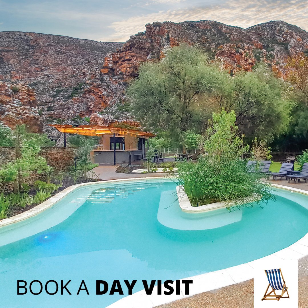 avalonsprings01's tweet image. Summer’s still in full swing! 🌞 Make the most of the warm weather and do as little as possible at #AvalonSprings.

Book your day visit now: bitly.ws/T2cn.

#summerholidays
#DreamResorts
#PoolsideParadise