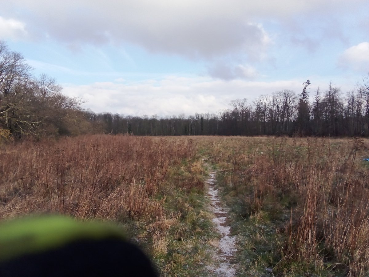 Semjasa666's tweet photo. Es könnte ja alles so idyllisch und friedlich sein... https://t.co/Ws3ImlUcT6