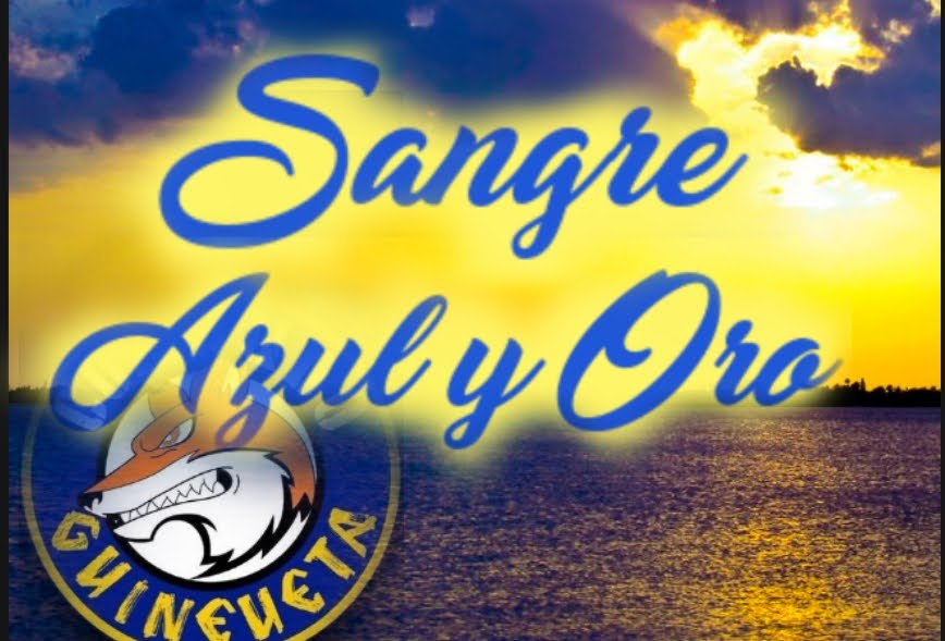 Comando Guineueta oficial tweet media