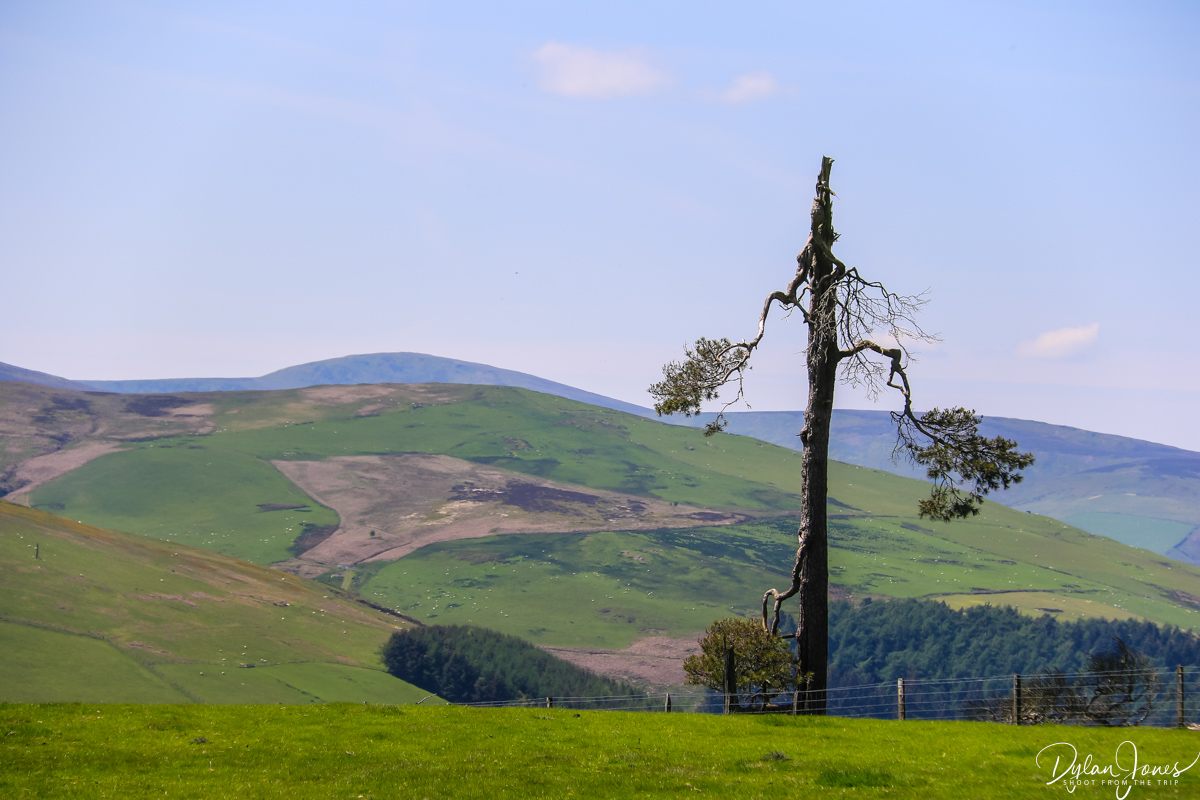 New Year means New trip! North Wales is calling you!

📌Your journey starts here

📅Have you booked yet?

🔗Find out more &amp; book online thewestarms.com

#visitwales #hikinguk #cymru #northwales #ceiriog

@photo by @shootfromthetrip