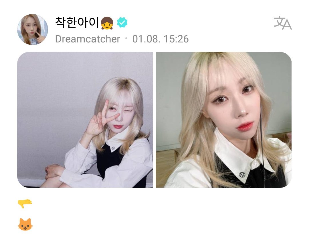 DC_Weverse's tweet photo. 230108 | #한동’s Post 

#Handong: 
“🫳
  🐱”

@hf_dreamcatcher #Dreamcatcher #드림캐쳐 https://t.co/H9UJExZCiP
