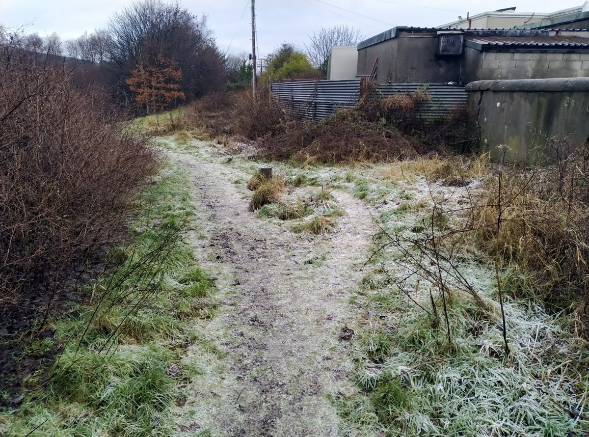 iamnature_kevin's tweet photo. Taking a mindful moment to notice the 'smile path' on a cold winter walk with Nature. #smilepath #naturalnavigation #natureconnection https://t.co/gGBZ9Fnfk1