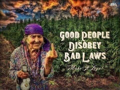 CaseForCannabis's tweet photo. GOOD PEOPLE DISOBEY BAD LAWS!
#RobinScottsCannabisPill #TheCaseforCannabis #Cannabis #CannabisCommunity #CannabisLegal  #MedicinalCannabis #CannabisNews #CBD #marijuana #marijuananews 
#LifeTechUK https://t.co/oCiRzsN3eQ