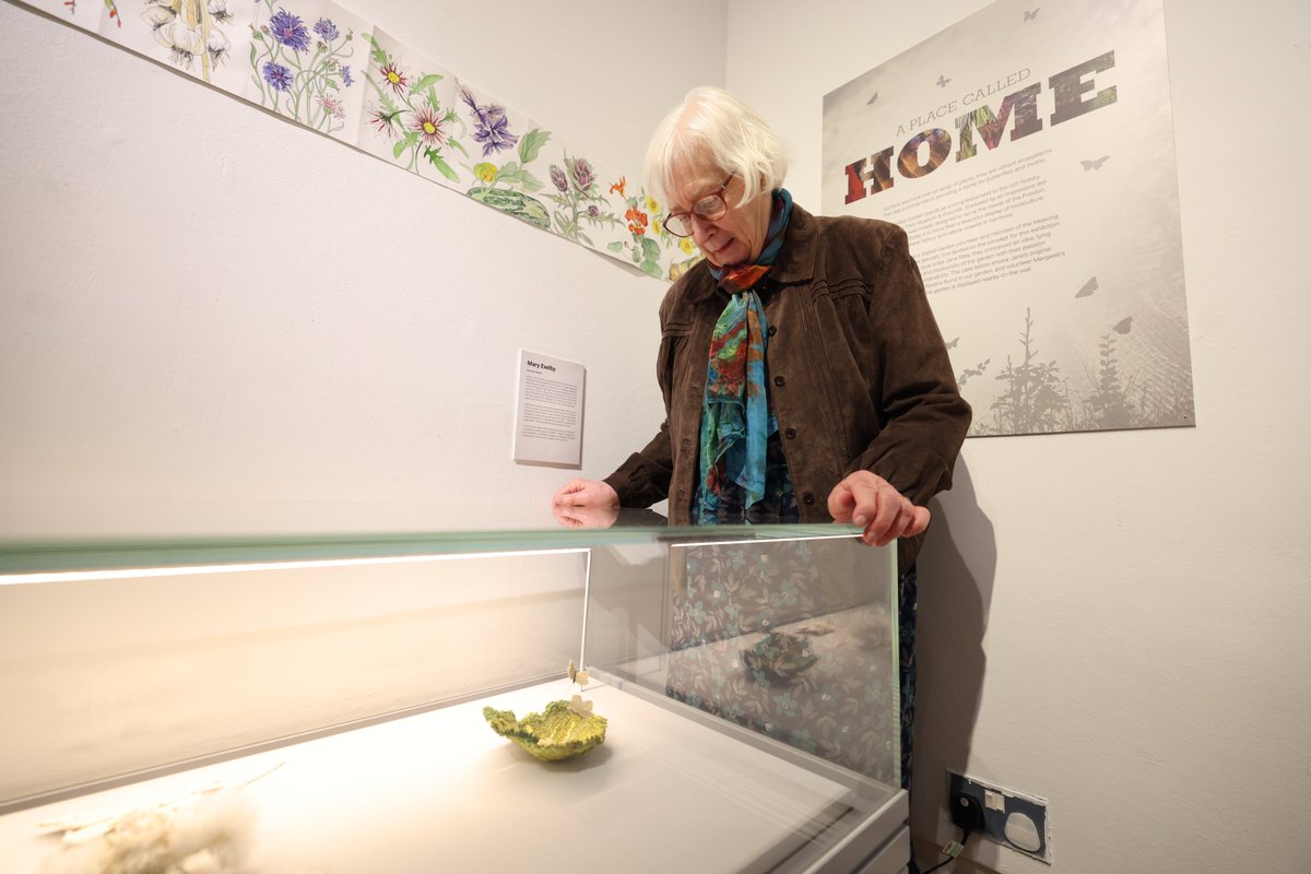 pparkmuseum's tweet photo. 🏛️ Come along to see our new, exciting exhibition celebrating the beauty of butterflies and moths.

📅 Here until Sunday 17 March 2024.

🎟️ No booking required, however you will need a valid museum ticket or can buy one on the day.

Find out more: https://t.co/V5uIOXtMgk https://t.co/dnVZZlZPpm