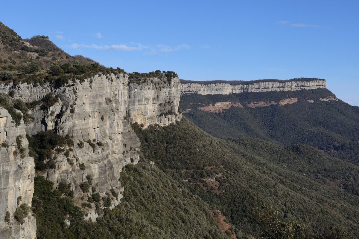 annacrosas's tweet photo. #ElFar des del #SaltDeSallent.
#RupitIPruit #Rupit #Collsacabra #Cabrerès #Guilleries https://t.co/V78fRZ4FXz