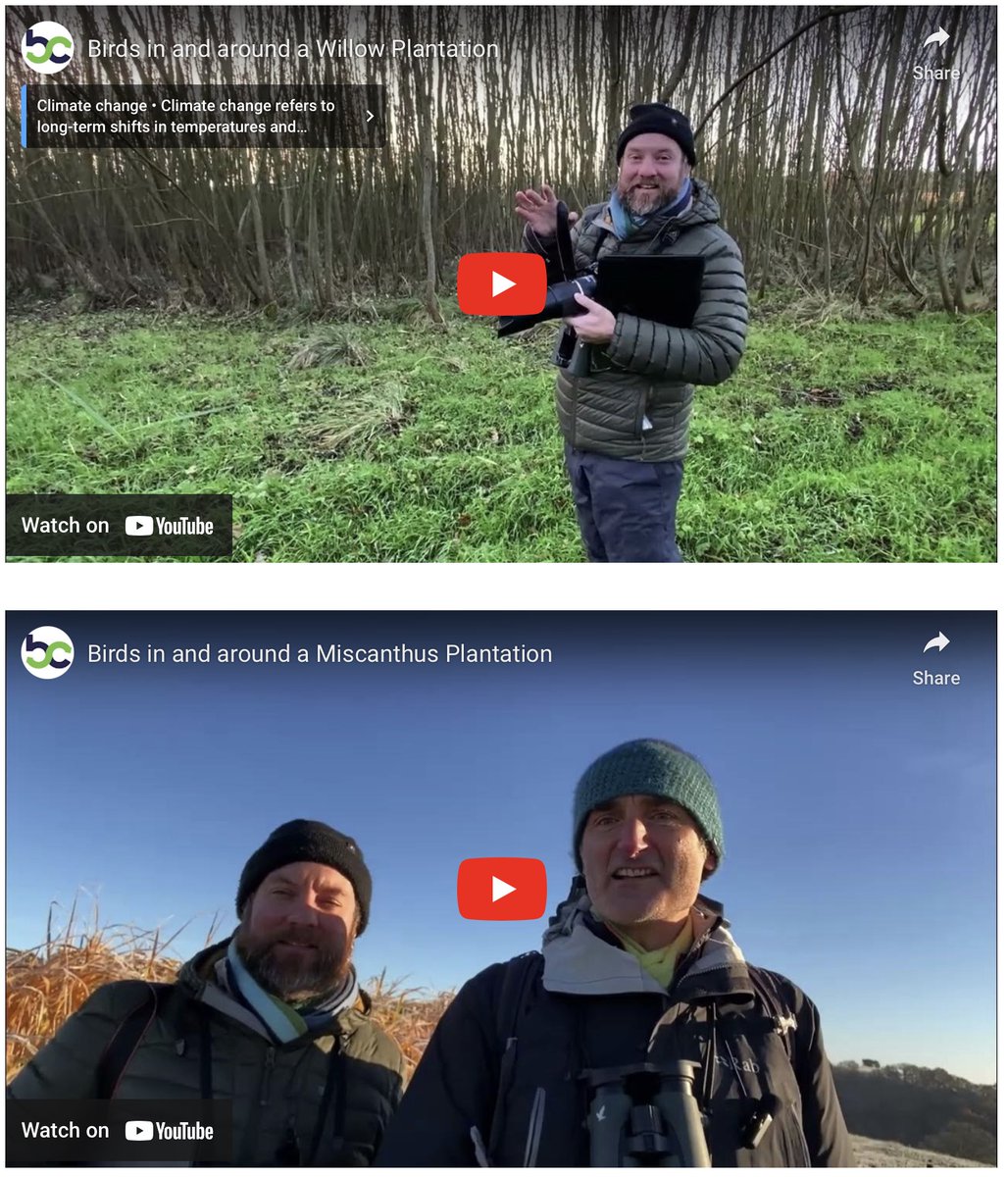 We have produced two short films looking at birds in and around #willow and #Miscanthus crops.The films feature ornithologist and wildlife detective Ed Drewitt (along with BC team member Kevin Lindegaard). Watch them here: loom.ly/aNkFcGI #birds #survey