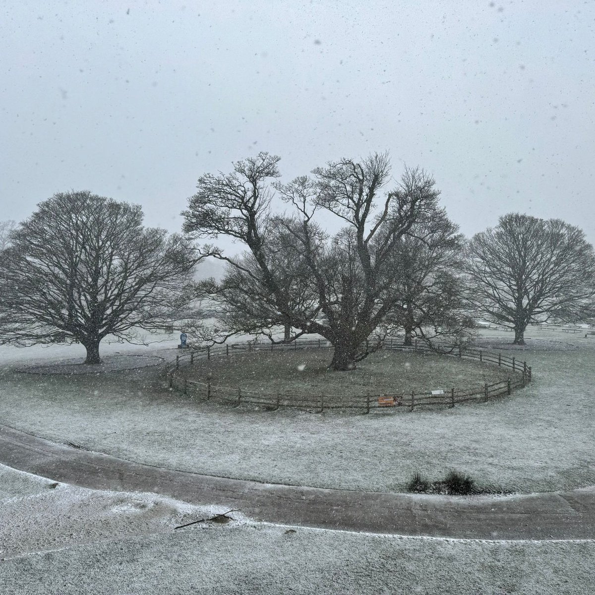 KnoleNT's tweet photo. *Knole is closed today*
Due to snowfall, Knole is closed to visitors today, Mon 8 Jan. Please don't travel to Knole. The car park, toilets, café, shops & all facilities are closed.
We'll update our website & social media when we can re-open.
#snowfall #kent #sevenoaks #kentsnow https://t.co/CfczwQgnDL