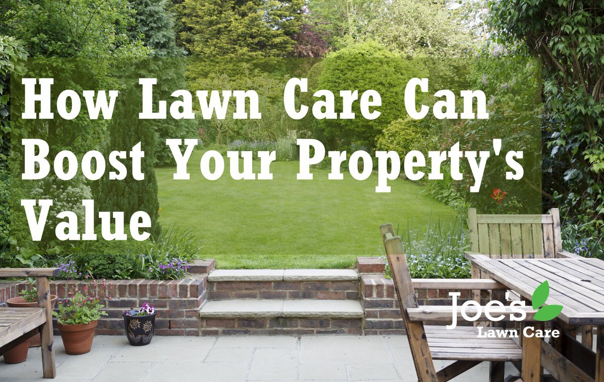 Joe's Lawn Care 🌱 tweet media
