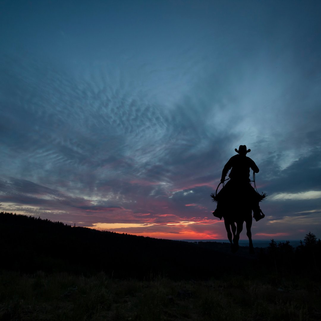 TexanbyNature's tweet photo. Howdy…(with the intention of changing the world 🤠🌎)

We’re looking for the most innovative Texan-led &amp; science-based conservation projects across TX to join the 2024 cycle of #ConservationWrangler, our 18-month accelerator program.

Apply by January 31
https://t.co/0klXnrPWLK https://t.co/HiTkqiyxvQ