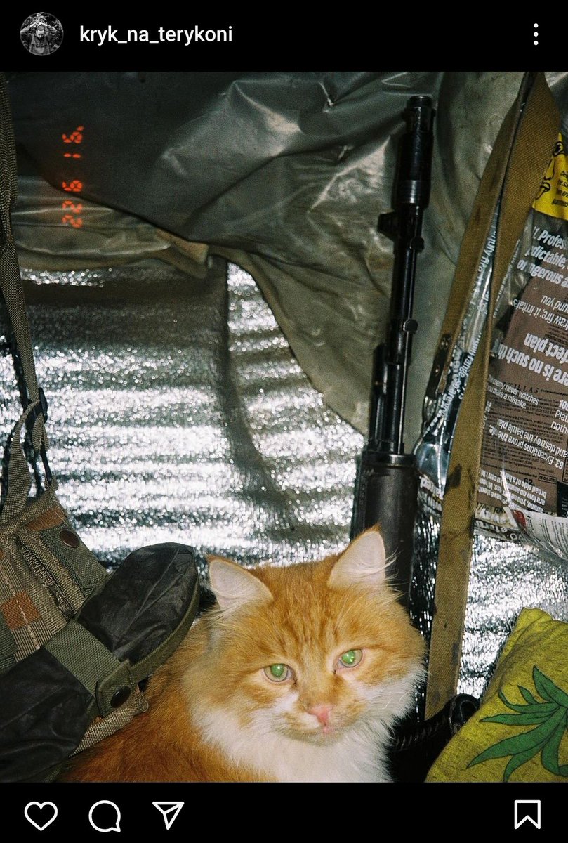 Медикиця tweet media