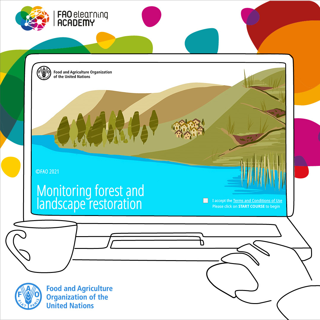 Enrol in a free online course at <a href="/FAO/">Food and Agriculture Organization</a>'s elearning Academy on monitoring forest and landscape restoration and learn how to choose indicators to meet restoration goals!

👉bit.ly/2VCxyuF

#GenerationRestoration