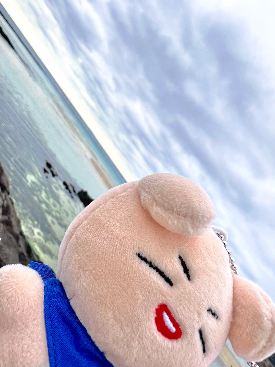 #우리집_루강지를_봐_대박임
🏝️