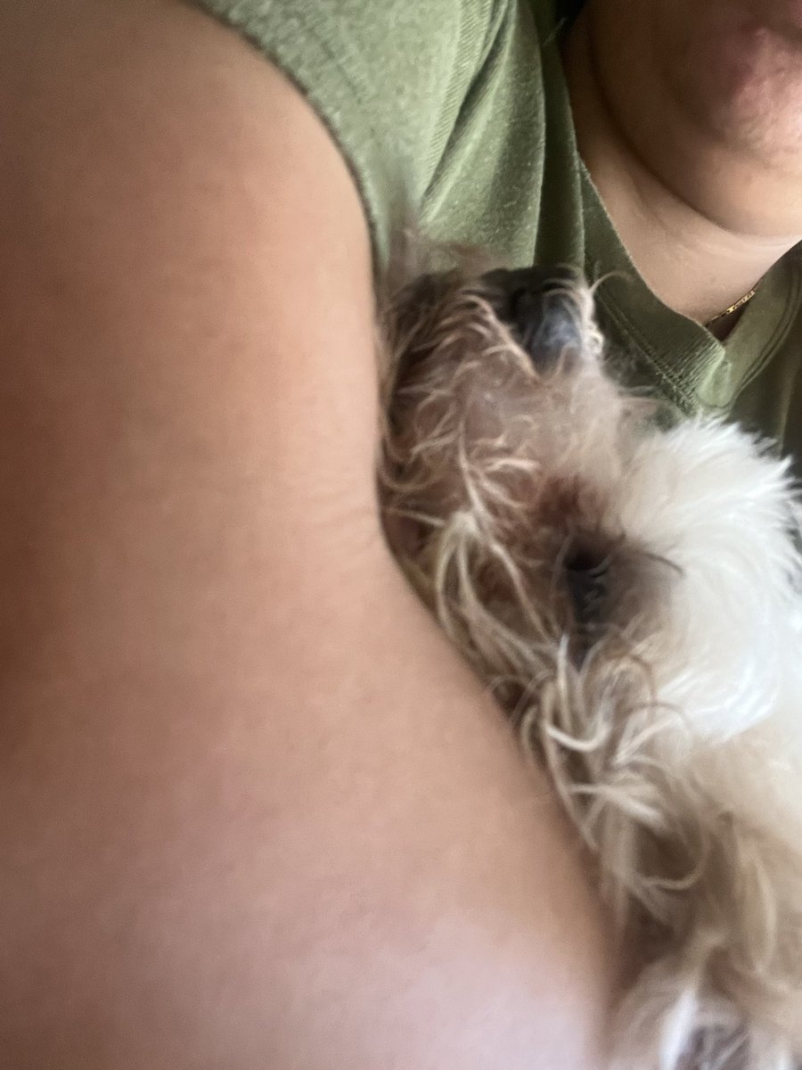 imshielaaa199x's tweet photo. Mahal na mahal kita, Ally!!! 😭🐶 Mahal na mahal ka ni Shiela! 😭🐶🤎 Run free our kuya Ally boy! 🤎🐾 😭 https://t.co/GY4nHlC4HZ
