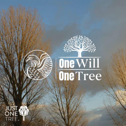 geppsolicitors's tweet photo. By partnering with Just One Tree, we pledge to plant one tree for every Will that is completed with us. π³ We are committed to ensuring the legacy you are leaving behind for your loved ones, is a greener one.
https://t.co/DjIBzCqEYc #TreePlanting #LocalSolicitors https://t.co/hguoRuLW4g
