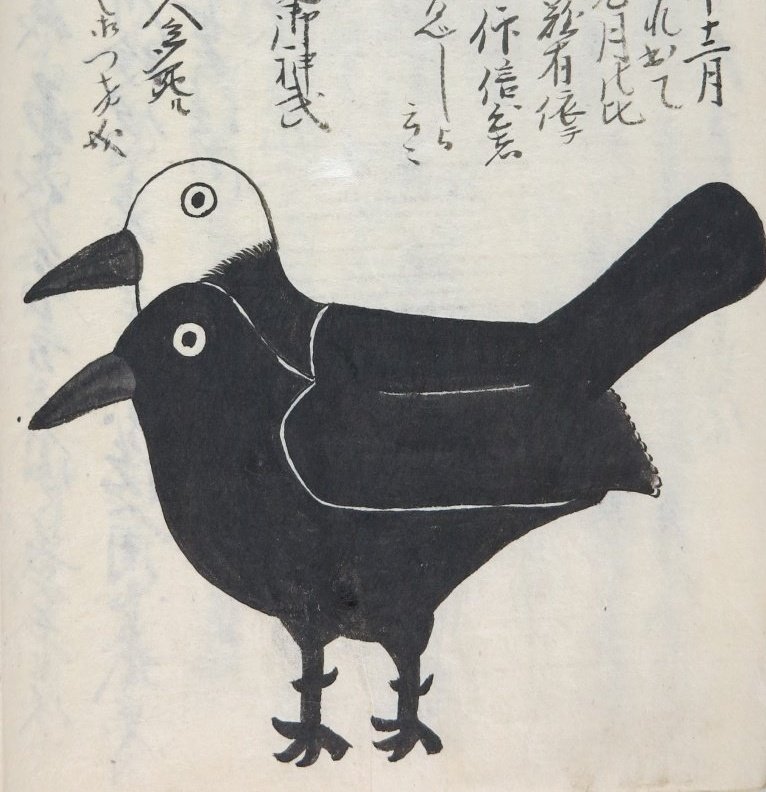 In #JapaneseFolklore, yogen no tori is a bird of prophecy that resembles a two-headed crow with one white head and one black head. They have the ability to speak, and appear as messengers of the gods to deliver important information to humanity... #MythologyMonday #yokai 1/2