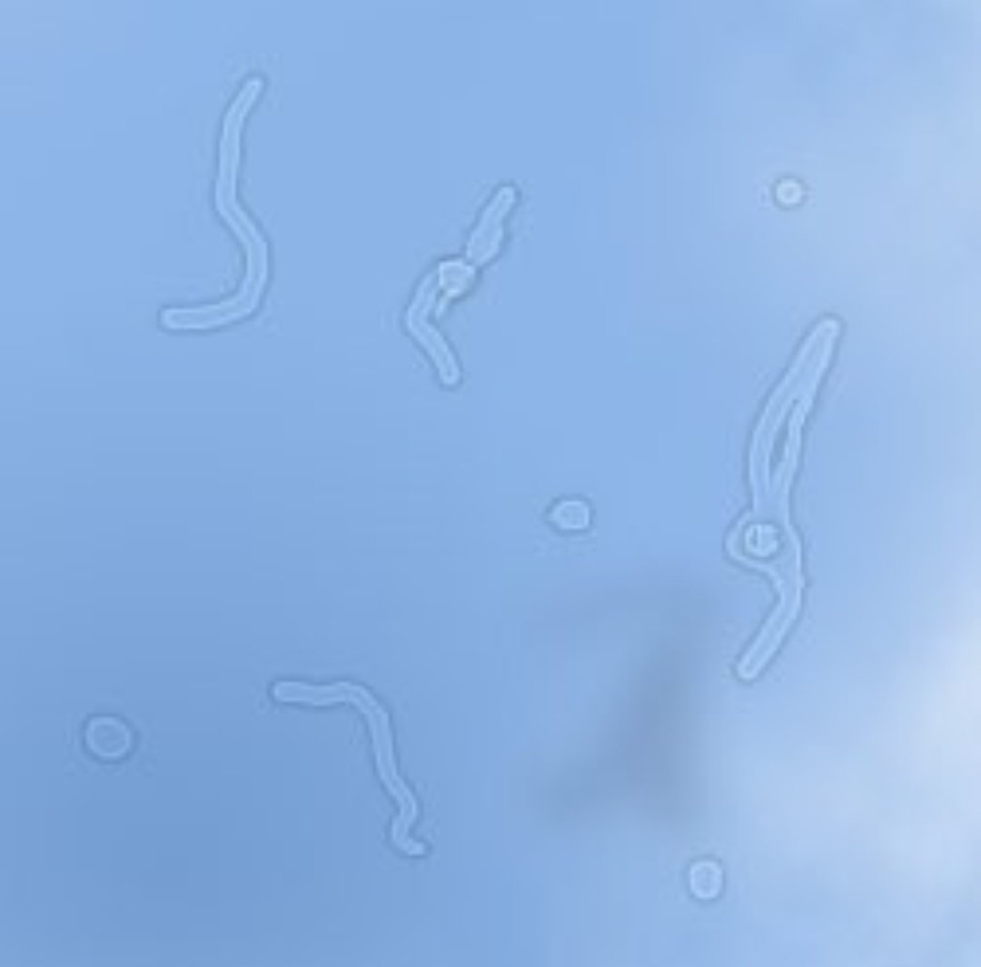 これが見えてしまったことある人🙋‍♂️