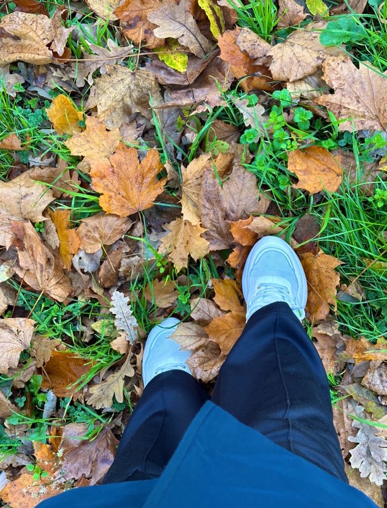 Ragghadd_'s tweet photo. Walk between autumn and winter https://t.co/N9RkRyDQnI