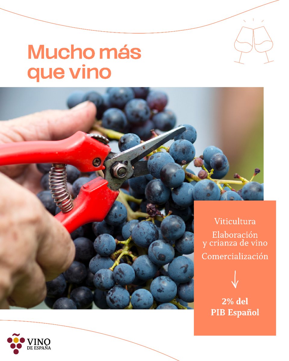 La cadena de valor del #sectorvitivinícola se extiende a los sectores primario, industrial y de servicios.

✅ Todo ello permite al #VinoDeEspaña contribuir a generar más de 20.330 millones de euros de valor añadido bruto, el 2% del PIB español.