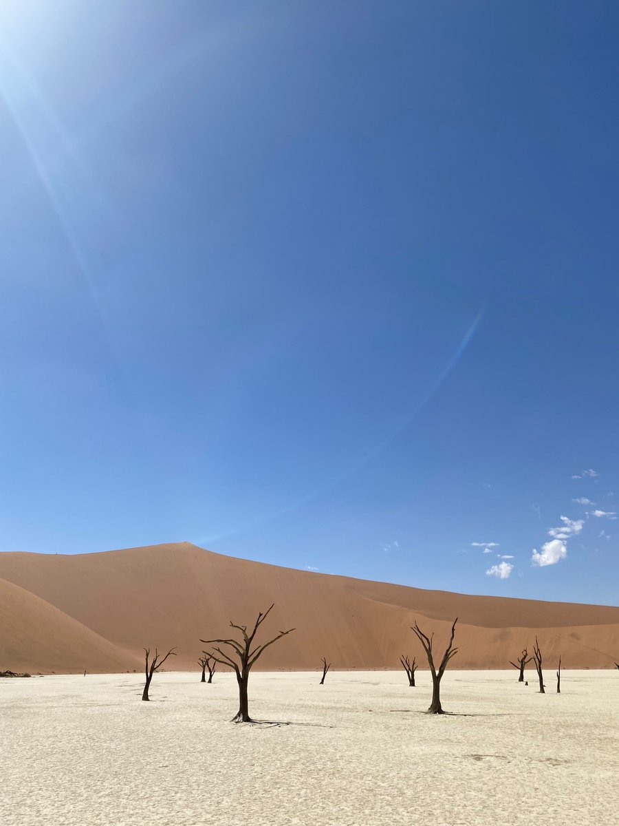 Deadvlei в пустыне Namib

Наша планета. Не наша Вселенная. 

Когда-то тут была вода, но дюна Big daddy (считается самой высокой дюной мира. Я ее покорил ☺️) перекрыла речку и этот лесок высох около 900 лет тому назад. Деревьям (акации) около 1000 лет.