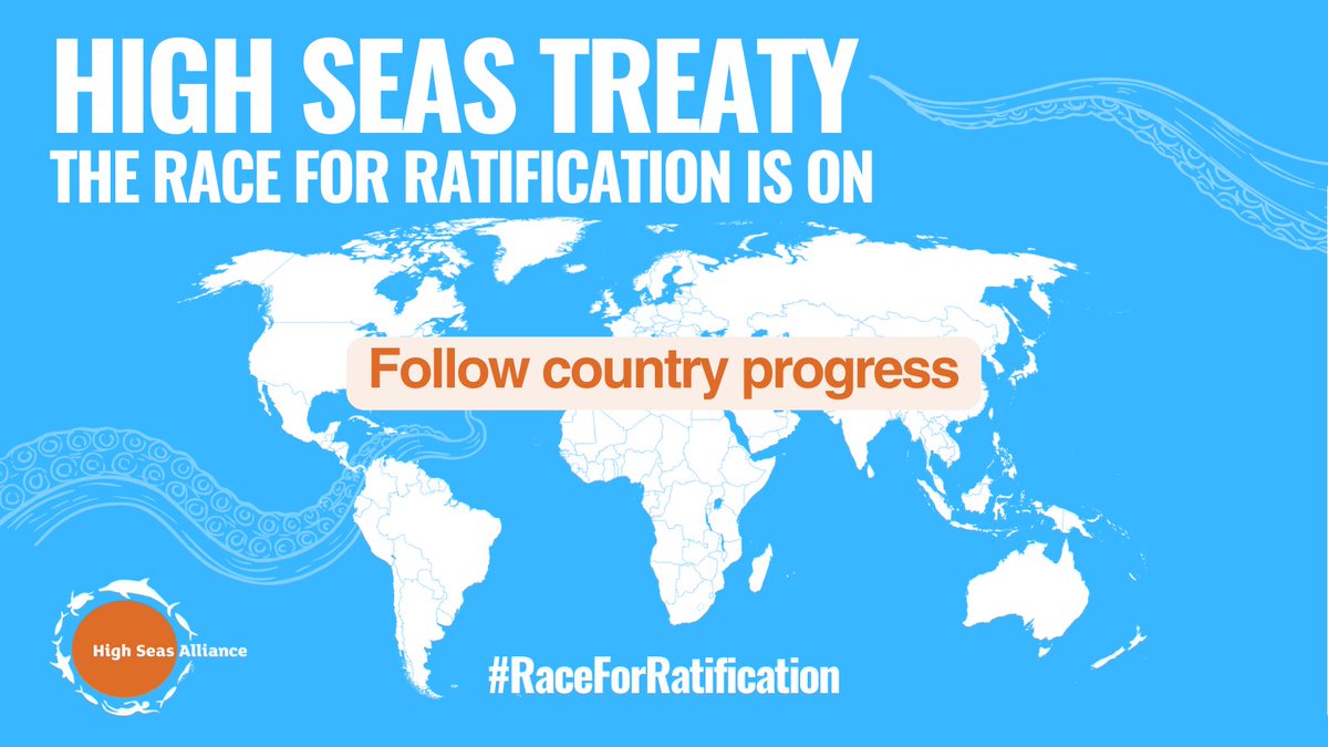 Since the #HighSeasTreaty opened for signatures on September 20th 2023, more than 80 countries have signed.

But who will lead the #RaceForRatification?

Check out the Treaty Ratification Tracker and call on leaders to ratify the Treaty now! #HighSeas highseasalliance.org/treaty-ratific…